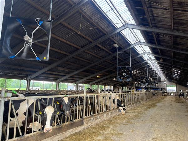 Grote foto abbi aerotech 140 xxp 21 dieren en toebehoren runderen