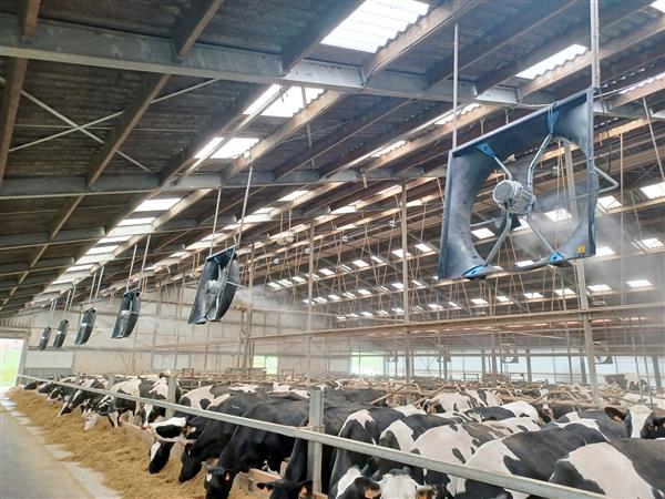 Grote foto abbi aerotech 140 xxp 21 met verneveling dieren en toebehoren runderen