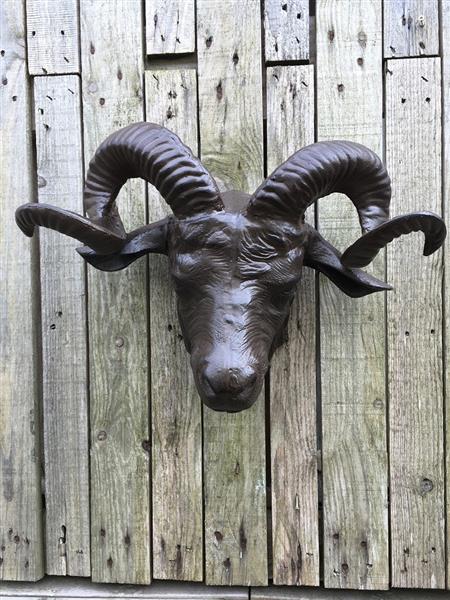 Grote foto een prachtige grote kop van een ram heel mooi in detail tuin en terras tuindecoratie