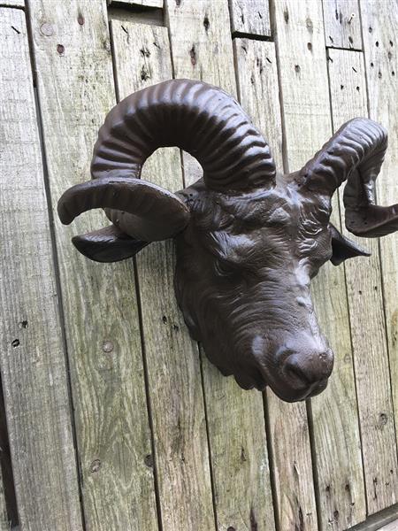 Grote foto een prachtige grote kop van een ram heel mooi in detail tuin en terras tuindecoratie