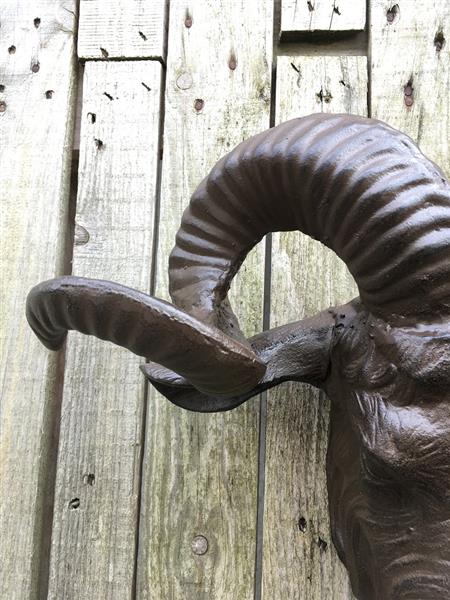 Grote foto een prachtige grote kop van een ram heel mooi in detail tuin en terras tuindecoratie