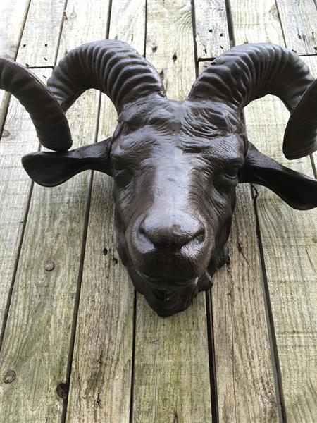 Grote foto een prachtige grote kop van een ram heel mooi in detail tuin en terras tuindecoratie