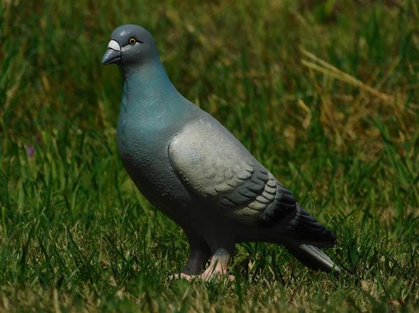 Grote foto beeld van een duif vol gietijzer gedetailleerd tuin en terras tuindecoratie