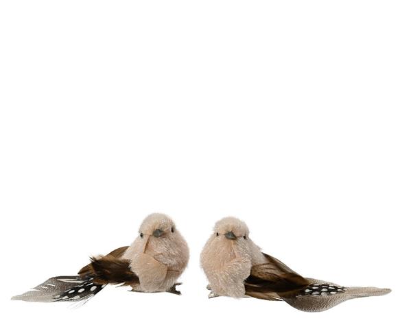 Grote foto vogeltje creme bruin naturel op clip set 2 stuks verzamelen overige verzamelingen