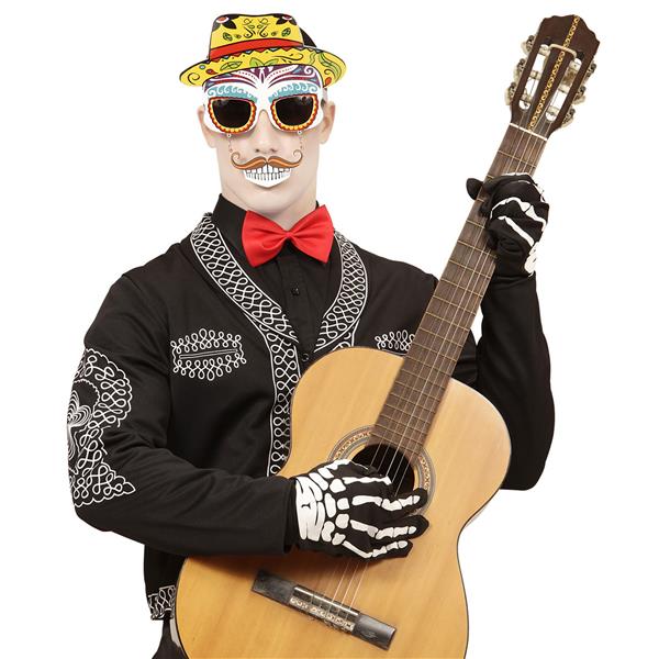 Grote foto dia de los muertos bril gekleurd verzamelen overige verzamelingen