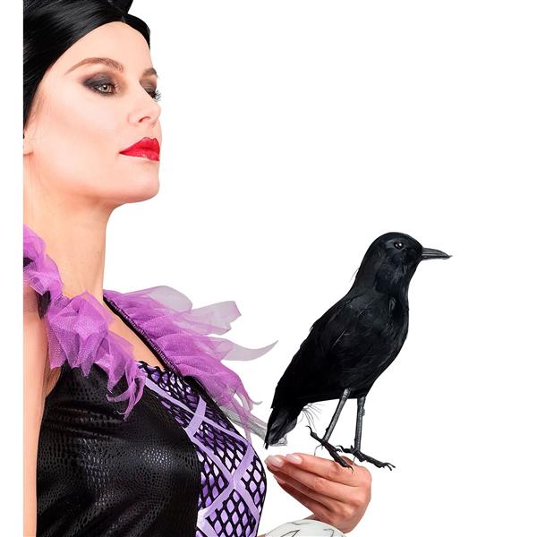 Grote foto halloween nep kraai verzamelen overige verzamelingen