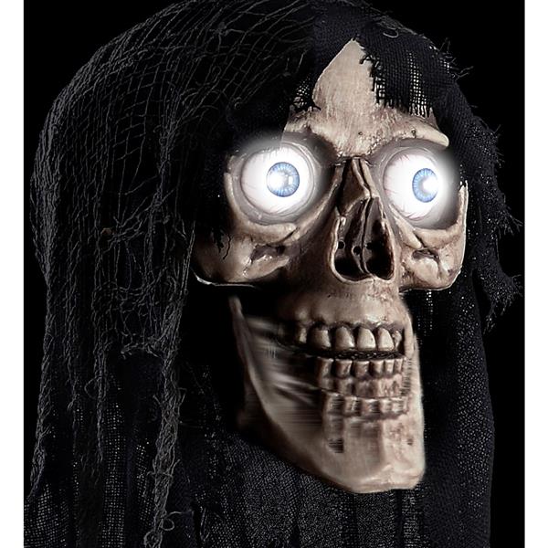 Grote foto halloween pop schedel 70cm verzamelen overige verzamelingen
