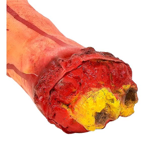 Grote foto halloween nep hand afgehakt met bot verzamelen overige verzamelingen