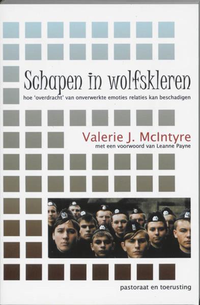 Grote foto schapen in wolfskleren pastoraat toerusting boeken overige boeken