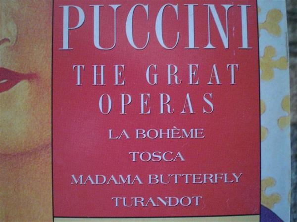 Grote foto 2 opera boxen verdi en puccini cd en dvd klassiek