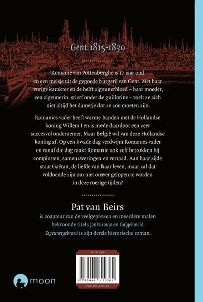 Grote foto zigeunergebroed boeken jeugd 13 jaar en ouder