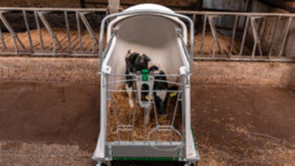 Grote foto opentop sliding roof dieren en toebehoren runderen