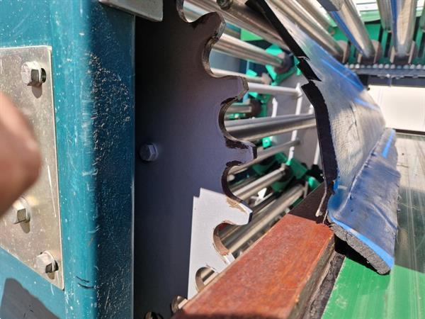 Grote foto allround rollensorteermachine met borstel en toevoerband agrarisch tuinbouw