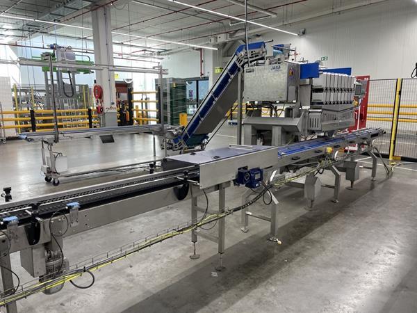 Grote foto newtec pcs2009 afweeglijn voor product in schaaltjes met flowpackmachine agrarisch tuinbouw