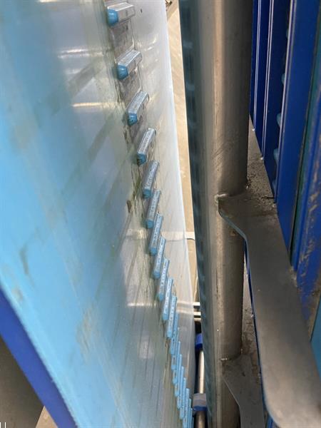 Grote foto newtec pcs2009 afweeglijn voor product in schaaltjes met flowpackmachine agrarisch tuinbouw
