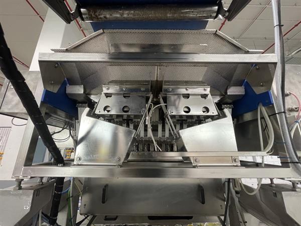 Grote foto newtec pcs2009 afweeglijn voor product in schaaltjes met flowpackmachine agrarisch tuinbouw