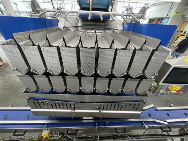 Grote foto newtec pcs2009 afweeglijn voor product in schaaltjes met flowpackmachine agrarisch tuinbouw