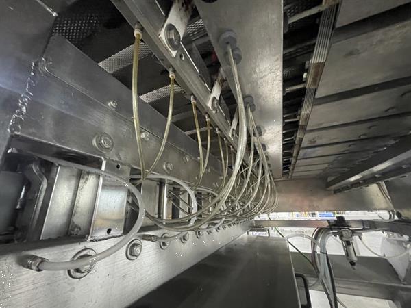 Grote foto newtec pcs2009 afweeglijn voor product in schaaltjes met flowpackmachine agrarisch tuinbouw
