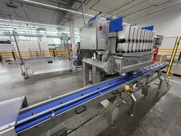 Grote foto newtec pcs2009 afweeglijn voor product in schaaltjes met flowpackmachine agrarisch tuinbouw