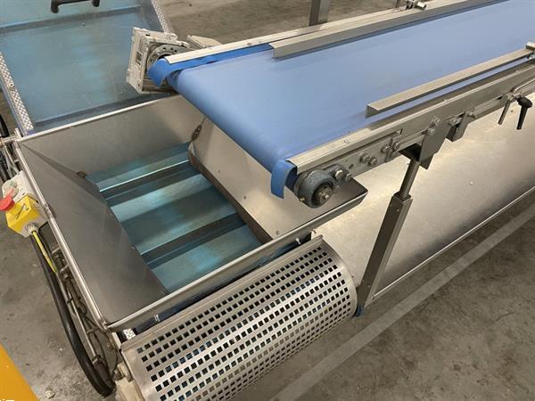Grote foto newtec pcs2009 afweeglijn voor product in schaaltjes met flowpackmachine agrarisch tuinbouw