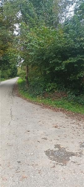 Grote foto tk belgi mooi woudperceel zakelijke goederen overige zakelijke goederen