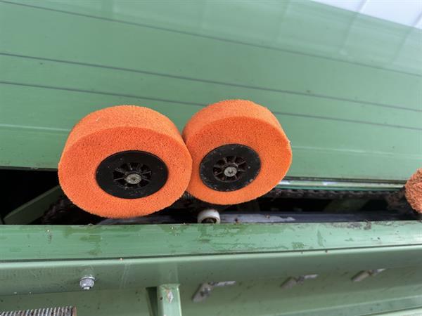 Grote foto van den berg bbs sl5 spw bloemenboslijn met sponzen agrarisch tuinbouw