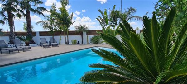 Grote foto uw villa in formentera del segura met terrassen huizen en kamers bestaand europa