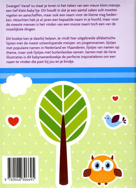 Grote foto het babynamen boekje boeken overige boeken