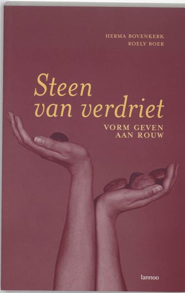 Grote foto steen van verdriet boeken politiek en maatschappij