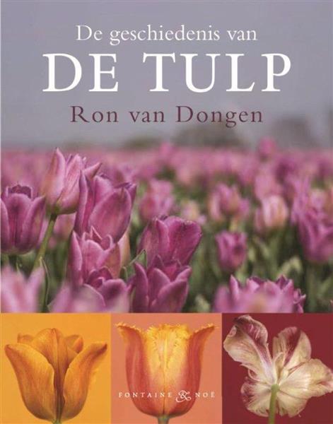 Grote foto de tulp boeken stripboeken