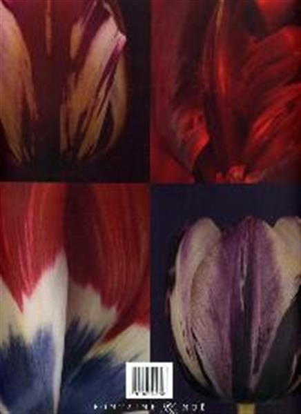 Grote foto de tulp boeken stripboeken