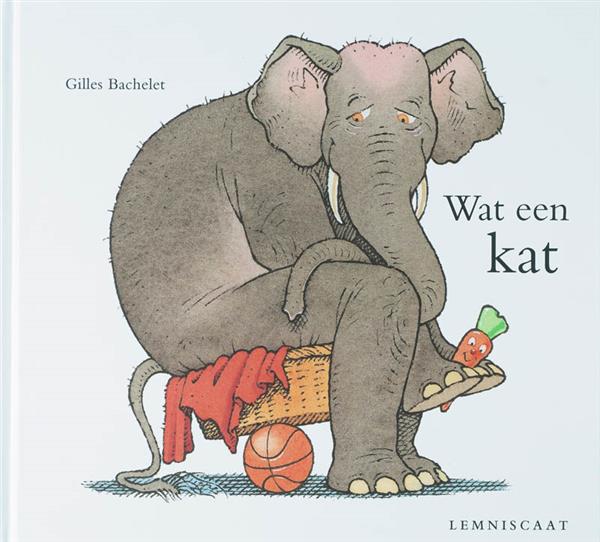 Grote foto wat een kat boeken jeugd 13 jaar en ouder