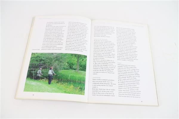 Grote foto vliegvissen in de lage landen paul blokdijk boek sport en fitness vissport