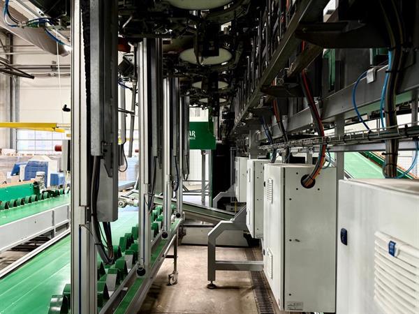 Grote foto bercomex furora bloemenboslijn agrarisch tuinbouw