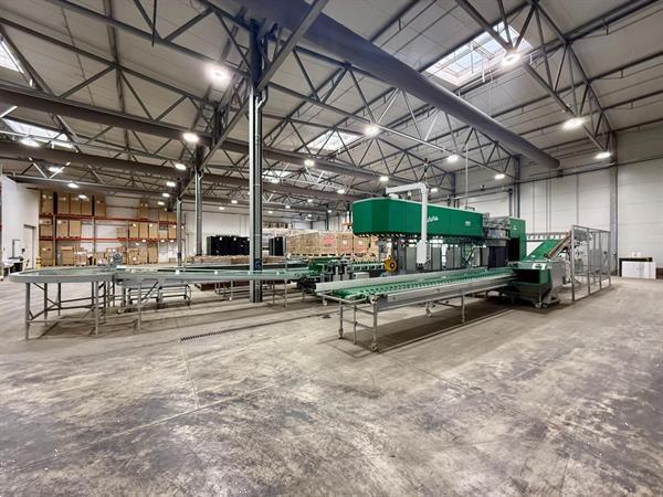 Grote foto bercomex furora bloemenboslijn agrarisch tuinbouw
