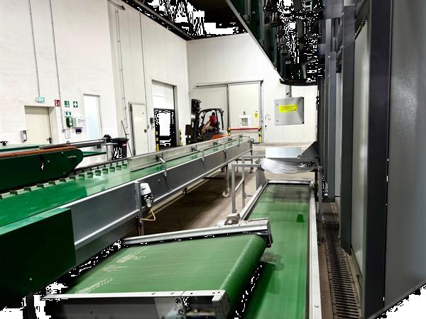 Grote foto bercomex furora bloemenboslijn agrarisch tuinbouw