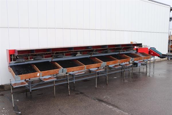 Grote foto aweta e8 komkommersorteermachine met opvoerband agrarisch tuinbouw