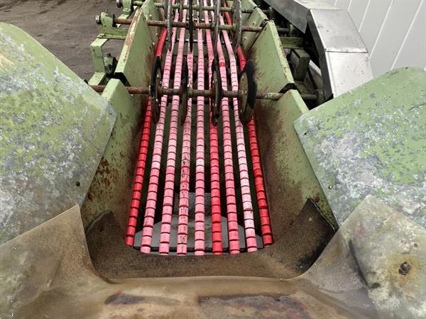 Grote foto herbort kettingsorteermachine voor wortelen of augurken agrarisch tuinbouw