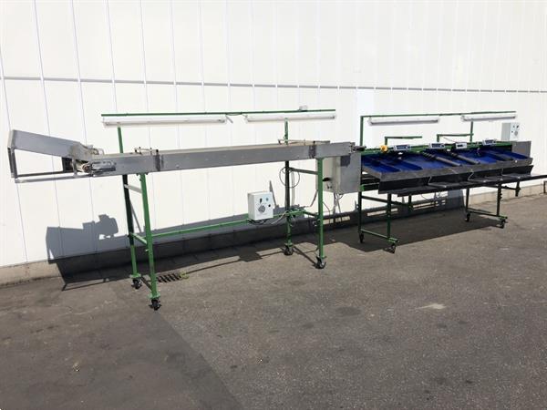 Grote foto knapen kersensorteermachine met terugtrekkende v snaren agrarisch tuinbouw