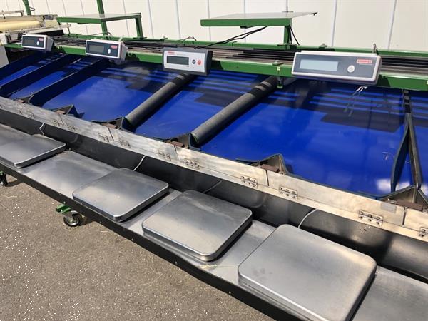 Grote foto knapen kersensorteermachine met terugtrekkende v snaren agrarisch tuinbouw