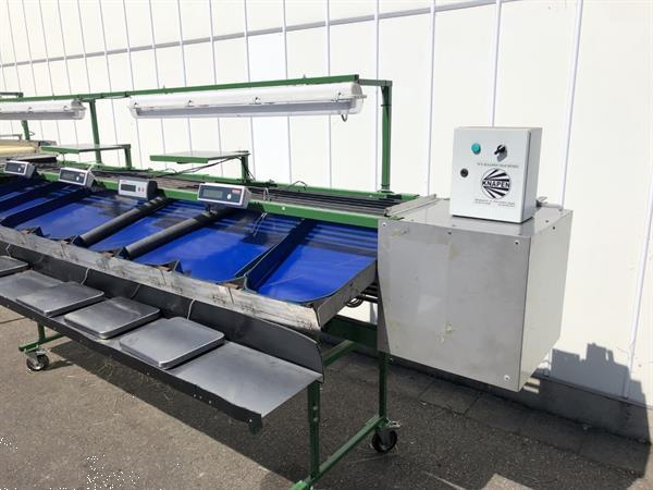 Grote foto knapen kersensorteermachine met terugtrekkende v snaren agrarisch tuinbouw