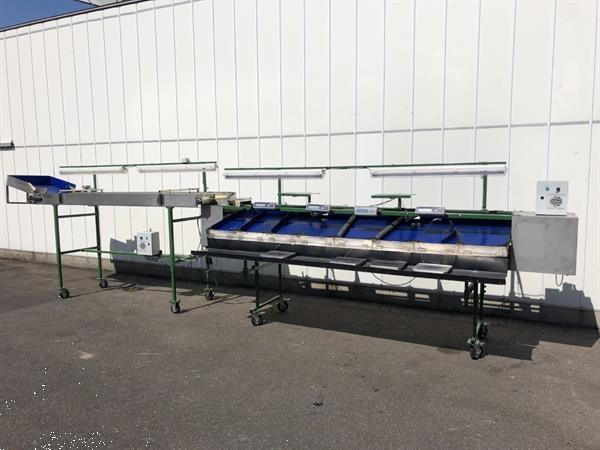 Grote foto knapen kersensorteermachine met terugtrekkende v snaren agrarisch tuinbouw