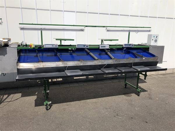 Grote foto knapen kersensorteermachine met terugtrekkende v snaren agrarisch tuinbouw