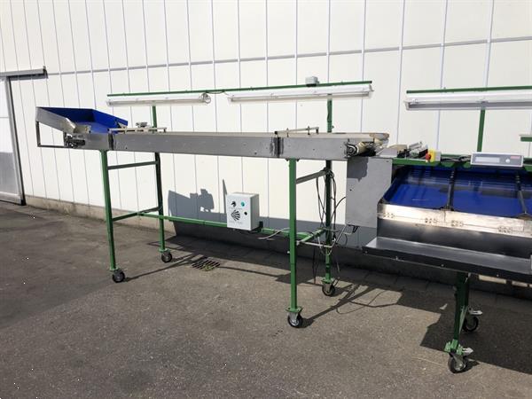 Grote foto knapen kersensorteermachine met terugtrekkende v snaren agrarisch tuinbouw