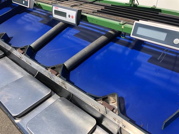 Grote foto knapen kersensorteermachine met terugtrekkende v snaren agrarisch tuinbouw