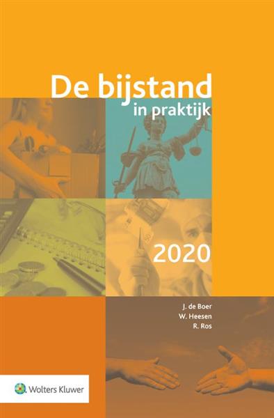 Grote foto de bijstand in praktijk 2020 boeken wetenschap