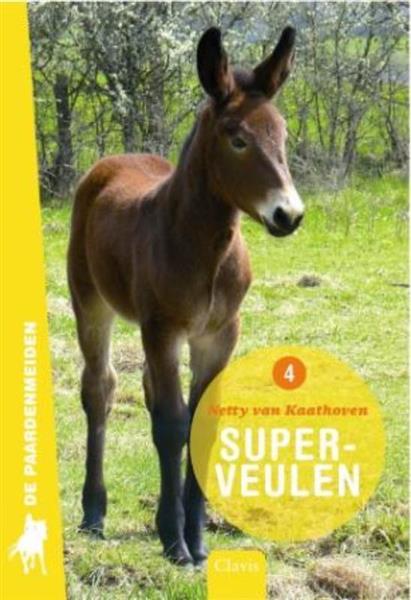 Grote foto superveulen de paardenmeiden 4 boeken jeugd 13 jaar en ouder