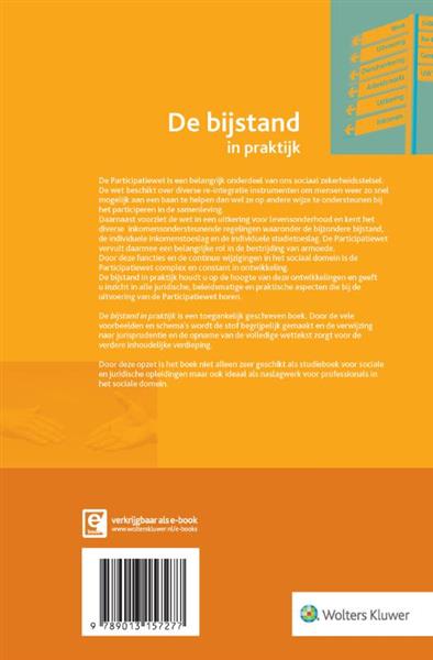Grote foto de bijstand in praktijk 2020 boeken wetenschap