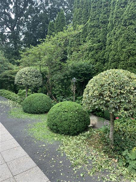 Grote foto tuinonderhoud tuindiensten tuin en terras overige tuin en terras