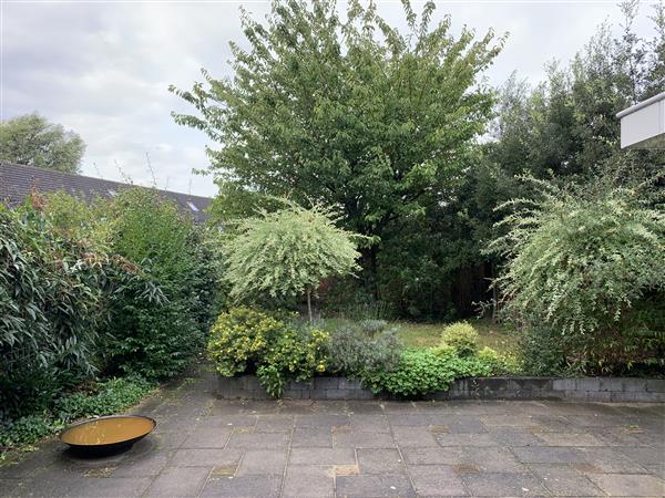 Grote foto tuinonderhoud tuindiensten tuin en terras overige tuin en terras